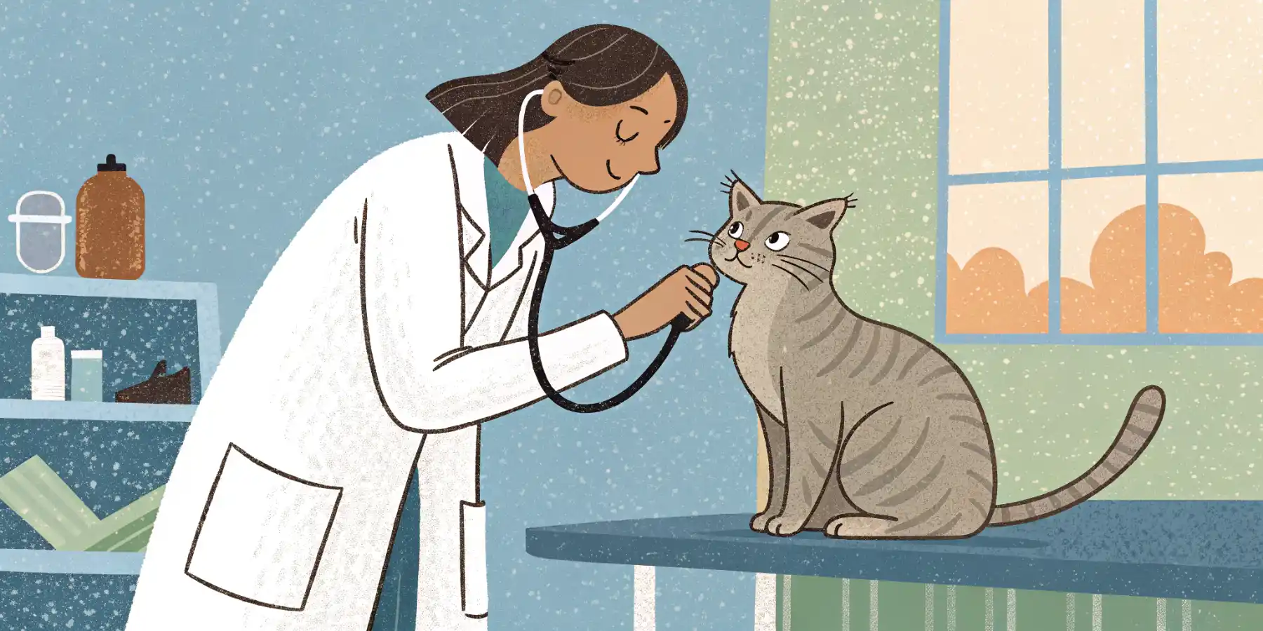 Veterinarian examining a senior cat